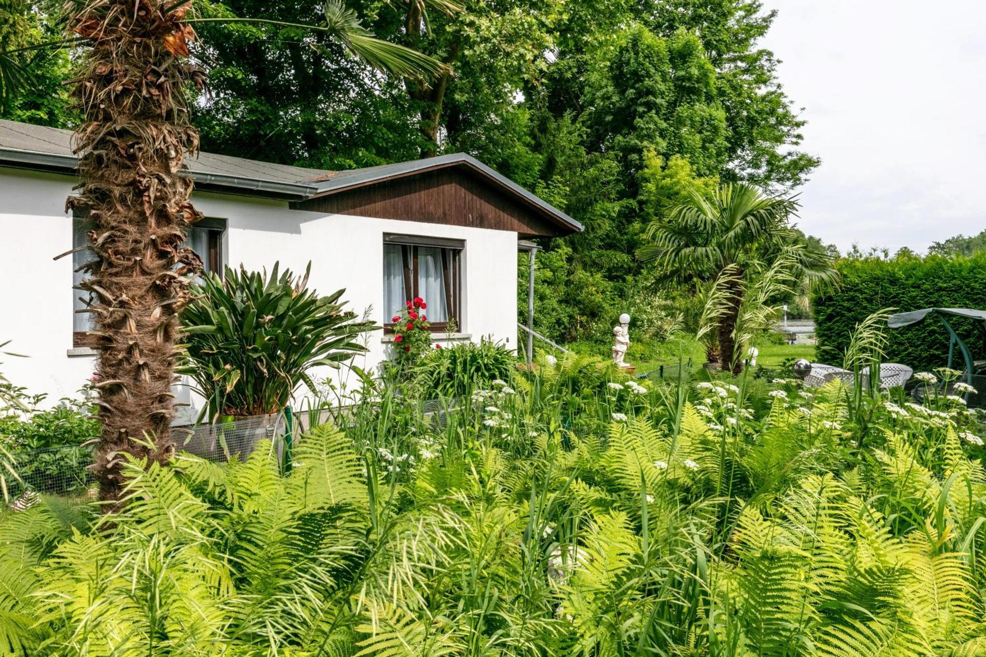 Вилла Haus Am See Кёнигс-Вустерхаузен Экстерьер фото